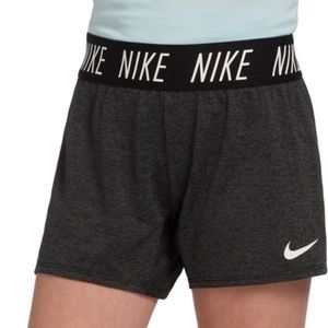Nike Dri-Fit Shorts Dark Grey